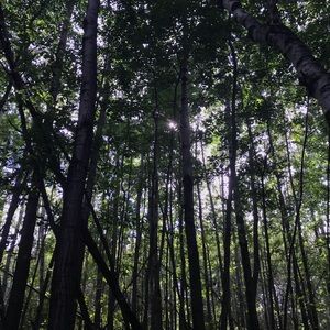 Meet your Posher, Brenna